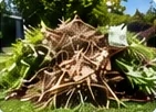 Yard cleanups with a Quest Hauling dumpster